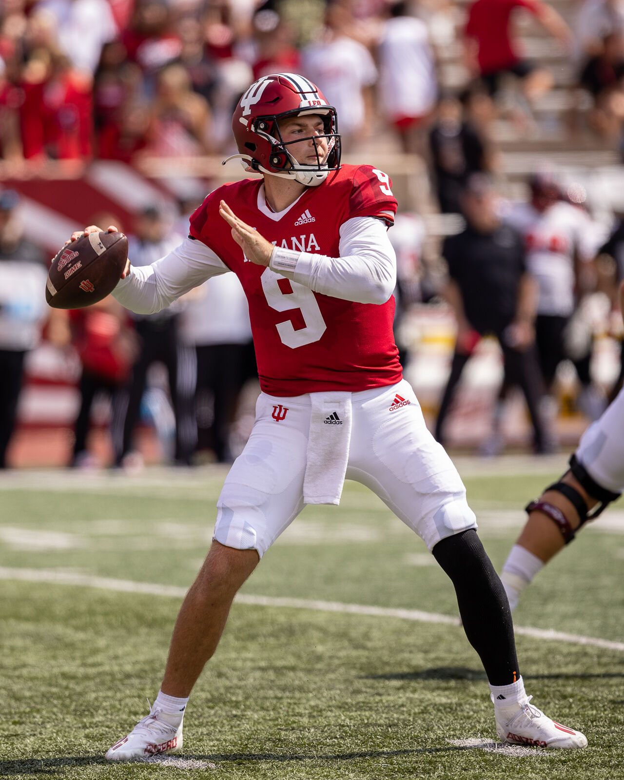September 17, 2022_Football-IU vs Western Kentucky_by_Tony Vasquez_19_NUVO.jpg